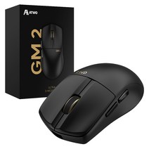 에이투 GM2