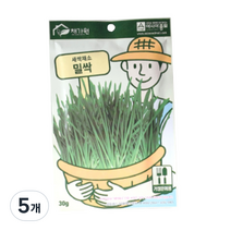 밀싹 캣그라스 30g, 5개, 밀