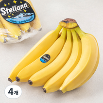 스텔라나 베트남산 고산지 바나나, 1.15kg, 4개