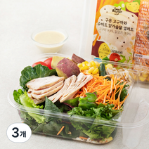 스윗밸런스 구운고구마와 수비드닭가슴살 샐러드, 300g, 3개