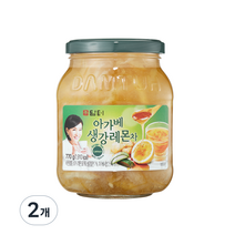 담터 아가베 생강레몬 액상차, 770g, 2개