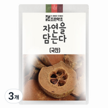 조은약초 자연을 담는다 프리미엄 모과, 600g, 3개, 3개