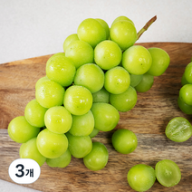 산지직송 아주마 영동 상주산 샤인머스켓, 750g, 3개