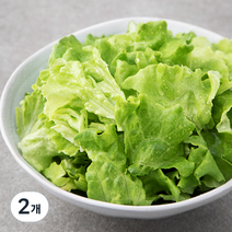 팜에이트 무농약 인증 카이피라 샐러드, 350g, 2개