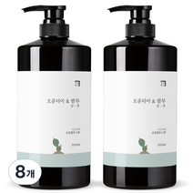 살림백서 오푼티아&밤부 샴푸 유칼립투스향, 1000ml, 8개