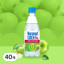 나랑드사이다 그린애플, 350ml, 40개