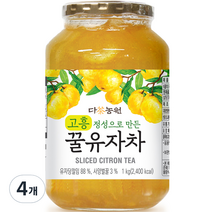 다농원 고흥 정성으로 만든 꿀유자차, 4개, 1kg, 4개
