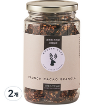 모던구루 크런치 카카오 초코 수제 그래놀라, 230g, 2개