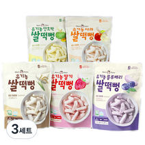 맛있는풍경 유기농 쌀떡뻥 딸기 25g + 사과 25g + 블루베리 25g + 단호박 25g + 플레인 25g, 3세트