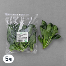 곰곰 국내산 GAP 시금치, 220g, 5개
