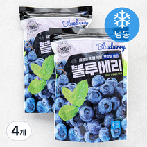 호재준 미국산 블루베리 (냉동), 500g, 4개