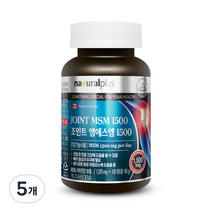 내츄럴플러스 조인트 엠에스엠 1500, 120정, 5개