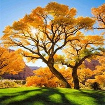 밀스턴 5D 비즈 계절풍경 다이아몬드십자수 DIY 키트 30 x 40 cm, 잔디밭단풍나무, 1세트