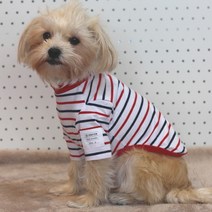 도기스타 반려견 단가라 맨투맨 면 티셔츠, 화이트 + 네이비