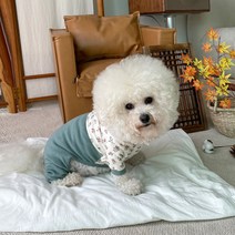 바이담수미 강아지 아기꽃 한복 올인원, 그린