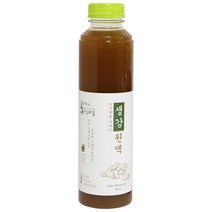 지구마을 생강 원액, 500ml, 1개