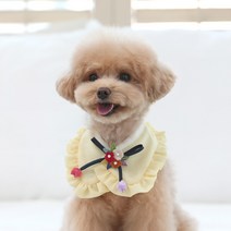 리토가토 반려동물 하린 한복 케이프 M, 노랑, 1개