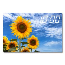 홈마인 캔버스 프린팅 액자 시리즈 LED 시계 해바라기 풍경 600 x 400 mm, 5