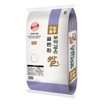 대한농산 2022년산 햅쌀 보약같은 경기 골든퀸쌀, 1개, 10kg(상등급)