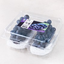 가원 비파괴 당도선별 거봉 포도, 1kg, 1팩