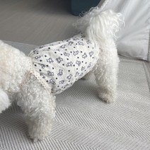 그루밍독 반려동물 베이비 곰 파자마 나시, 블랙