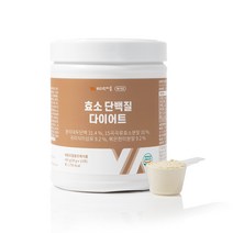 비타민마을 효소 단백질 다이어트, 450g, 1개