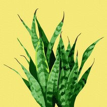 플레이어바웃 명화 그리기 DIY 세트 선세베리아 피포페인팅 20 x 20 cm, 혼합색상