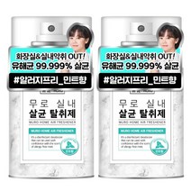 무로 실내 에어컨 살균 탈취제 민트향, 155g, 2개