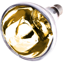 컴프라이프 욕실난방기 전용램프, 04 IR275(175) 골드