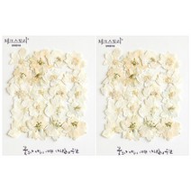 체크스토리 락스퍼 압화 40p, 화이트 B급