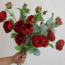 민성컴퍼니 조화 오스틴 장미 꽃다발 3p, 레드