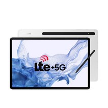 삼성전자 갤럭시탭 S8 플러스 SM-X806, 실버, 256GB, 5G