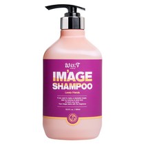 위스티 이미지 샴푸 러블리프렌즈, 500ml, 1개