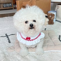 바이담수미 강아지 뜨개 케이프 one size, 레드리본, 1개