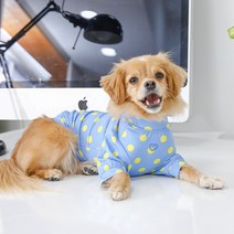 핑카 반려동물 스윔 래쉬가드 겸용 티셔츠 TS7705, 블루