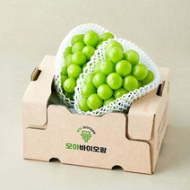 모아바이오팜 당도선별 샤인머스캣, 1개, 1kg 상품 이미지