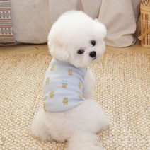 오드스튜디오 반려동물 뉴 데일리 베베 티셔츠 테디베어, 블루