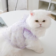 아티펫 반려동물 하트패턴 메쉬 리본 슬링 티셔츠, 퍼플