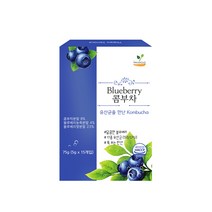 해피테라스 콤부차 블루베리, 5g, 15개