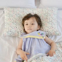 아띠블랑 어린이 인견 베개커버 2p + 베개솜 세트 46, 디노포레스트