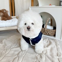 바이담수미 반려동물 털배자 생활 한복, 네이비