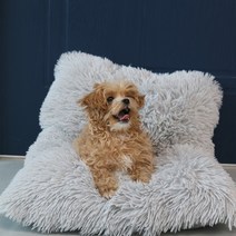 레투펫 강아지 빈백, 그레이(겉커버), 화이트(속커버)