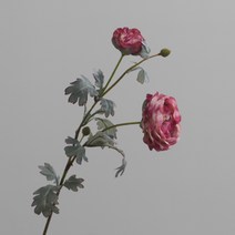 쏘앤영 장미 조화 장식품, 로즈