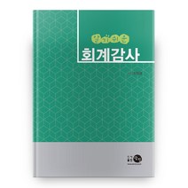 알기쉬운 회계감사, 탐진