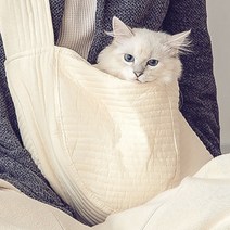 강아지 산책 슬링백 강아지띠 가방