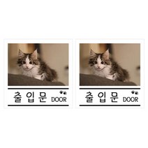 쁘띠팬시 펫 사인 F35114, 2개, 출입문 고양이