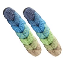 브랜드얀 리트위스트 브레이드 레인보우 뜨개실 2p, 7604번 블루그린셰이드, 250m, 2개