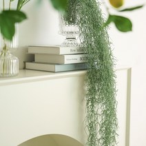 플라우스302 행잉플랜트 조화 인테리어 장식 롱 틸란드시아 120cm, 그린