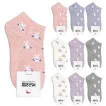 박군 여성용 빼꼼토끼 10족 양말
