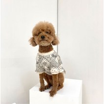 유앤펫 강아지 수컷용 페이즐리 기모 맨투맨, 아이보리